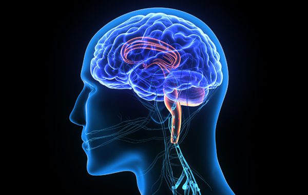 Neurology